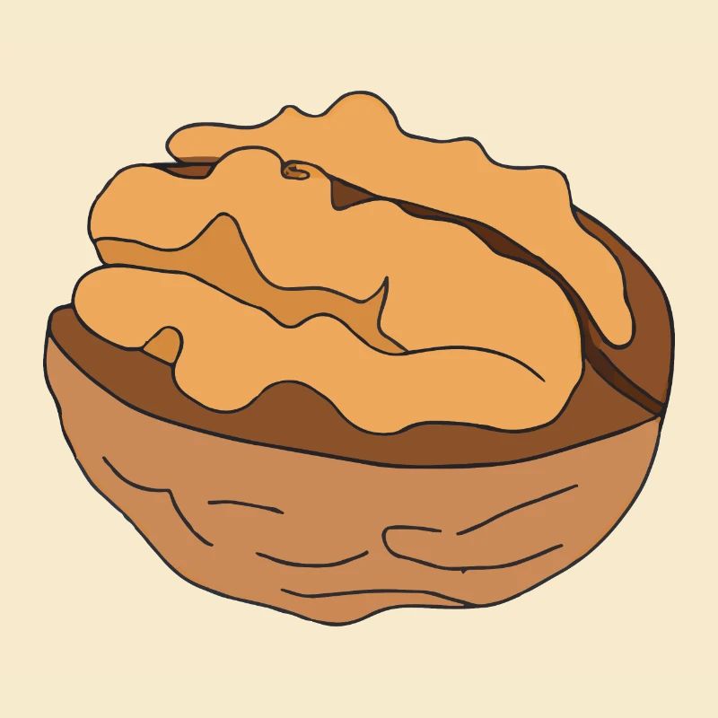 Walnut Illustration Gift Idea Nut Lovers