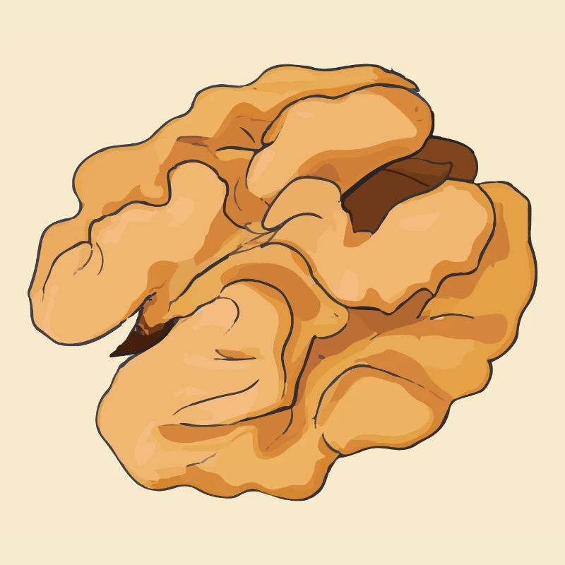 Walnut Illustration Gift Idea Nut Lovers