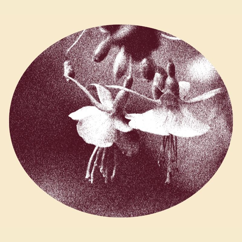 blume retro