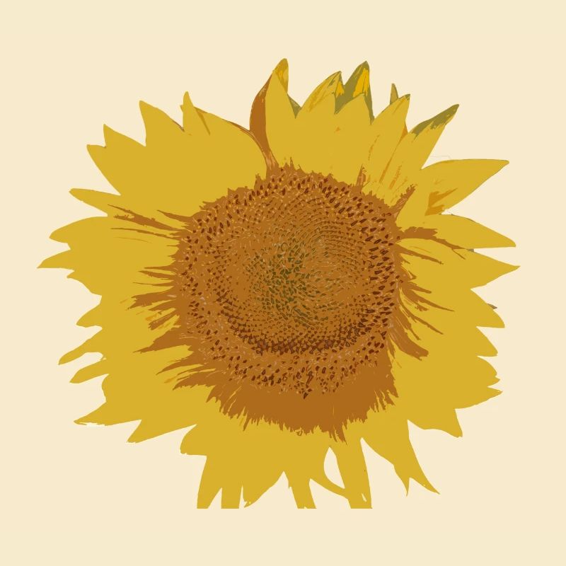 Sonnenblume