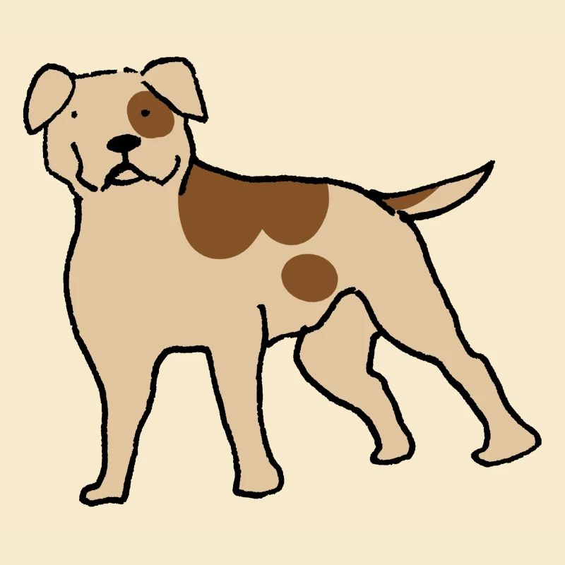 Amercian Bulldog