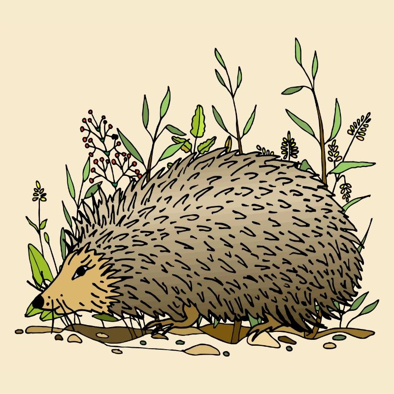 Igel