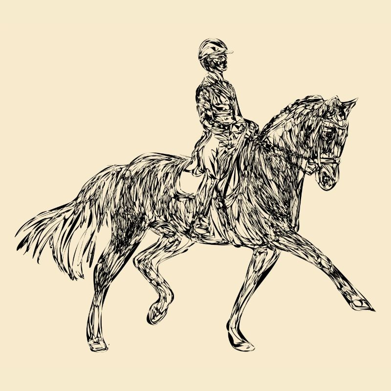 Pferd