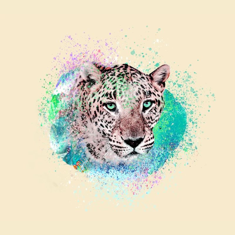 jaguar,wildkatze,leopard,graffiti,bunt