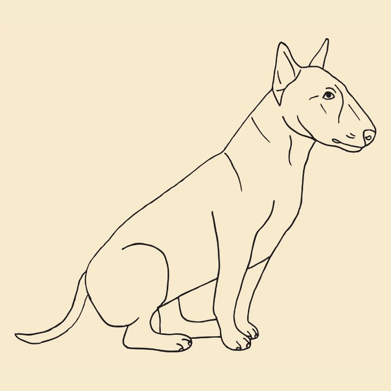 Bullterrier