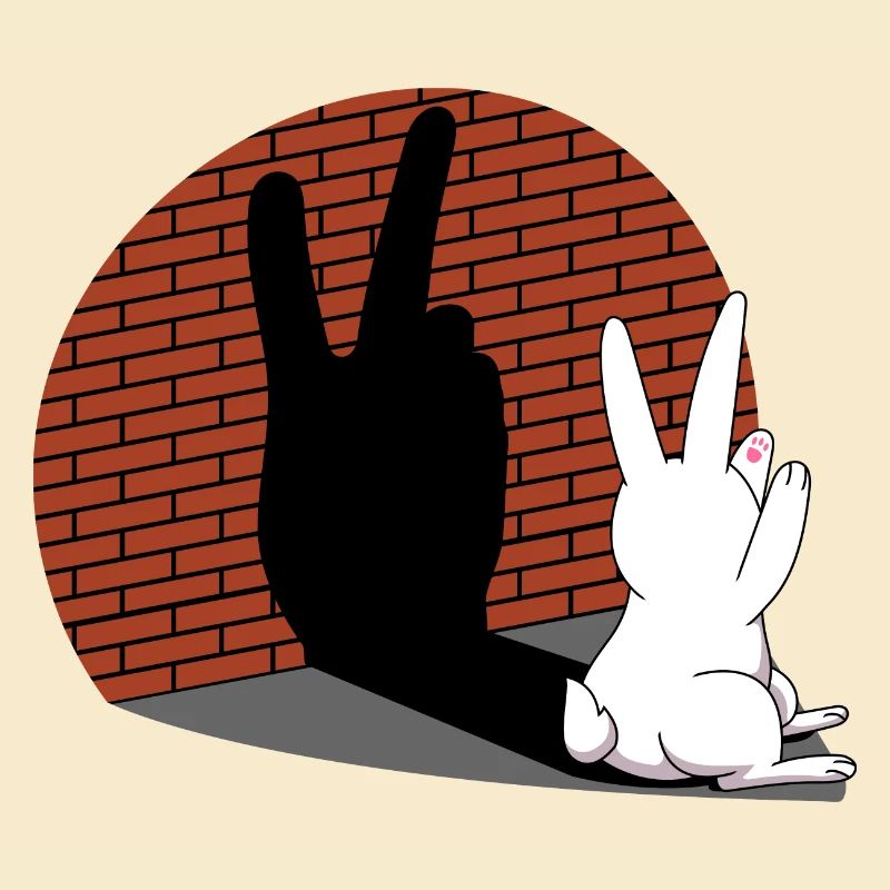 Rabbit Shadow Figure Shadow Image Shadow Play