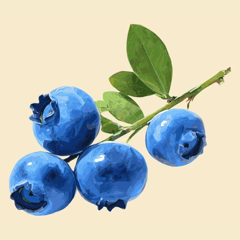 Blaubeeren