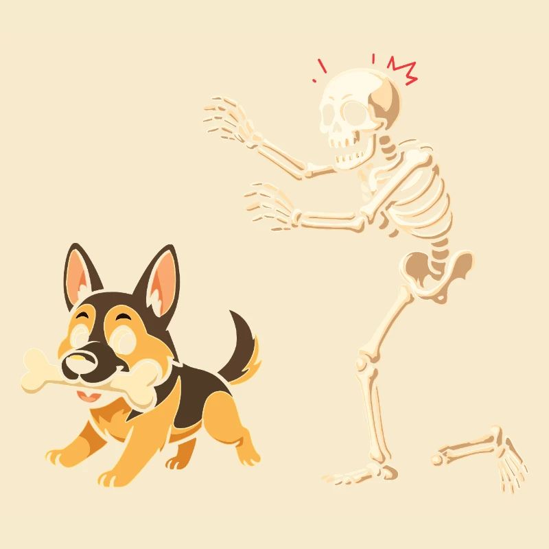 German Shepherd Dog Skeleton