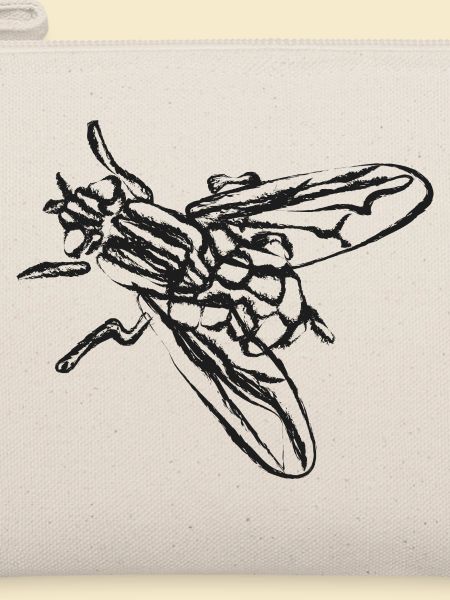 Schwarze Fliege – Insektenillustration