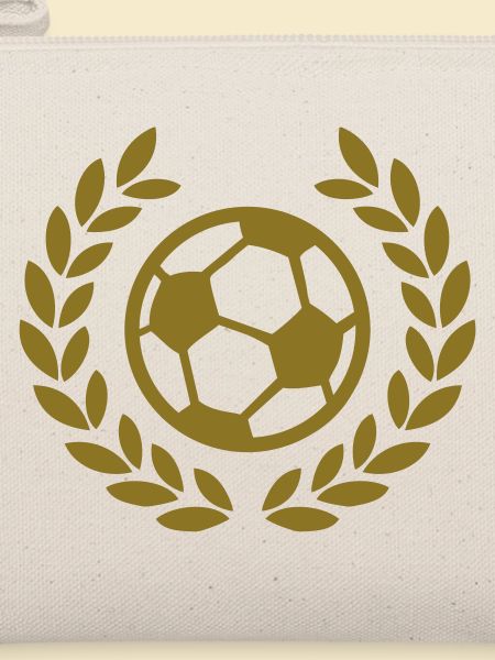 fussball ball deluxe