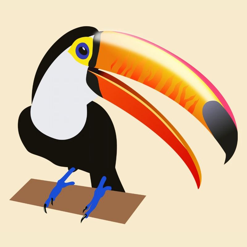 Eko le Toucan