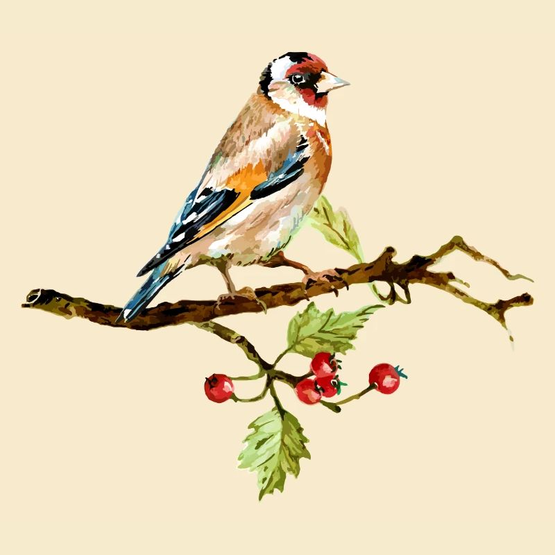 Vogel