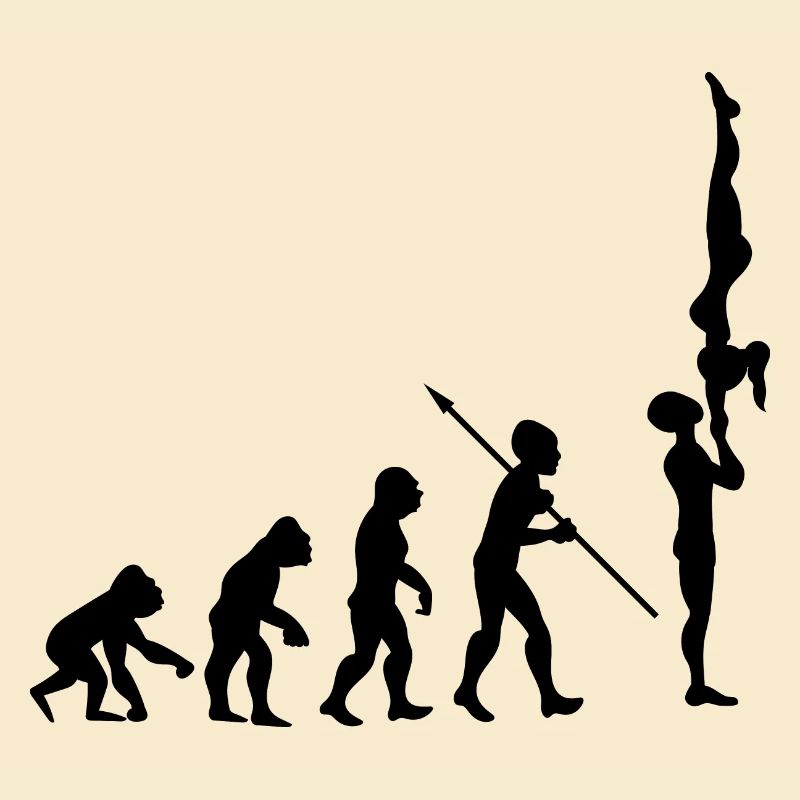 Evolution Gymnastics Gymnastics Acrobatics Gymnastics