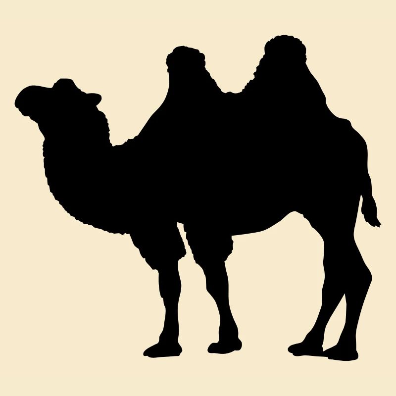Kamel