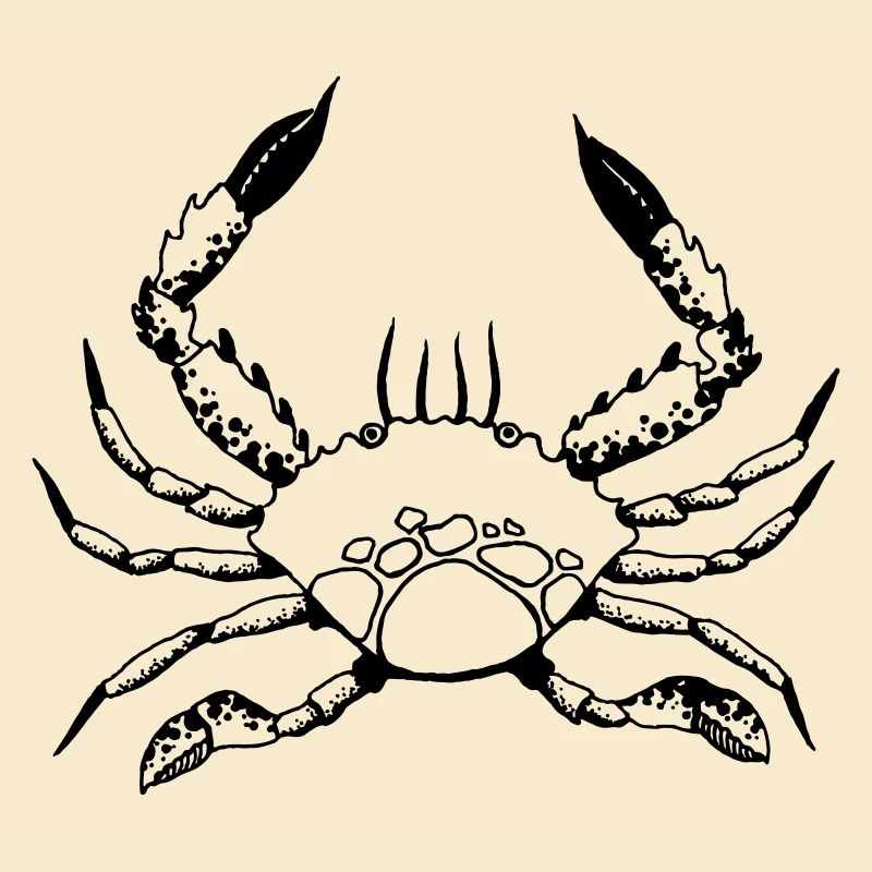 Krabbe