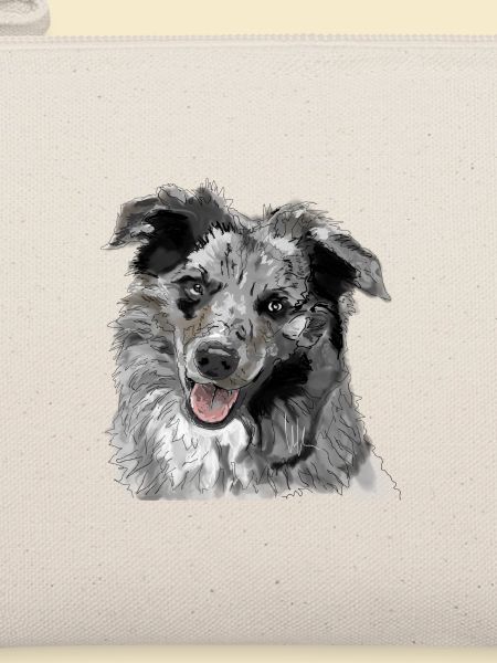Australian Shepherd