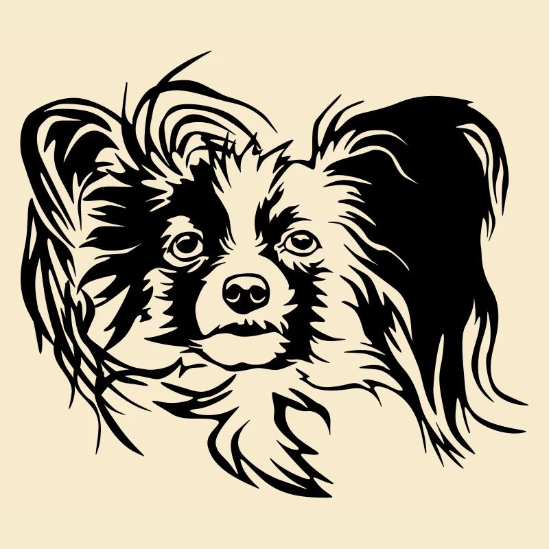 Papillon Head