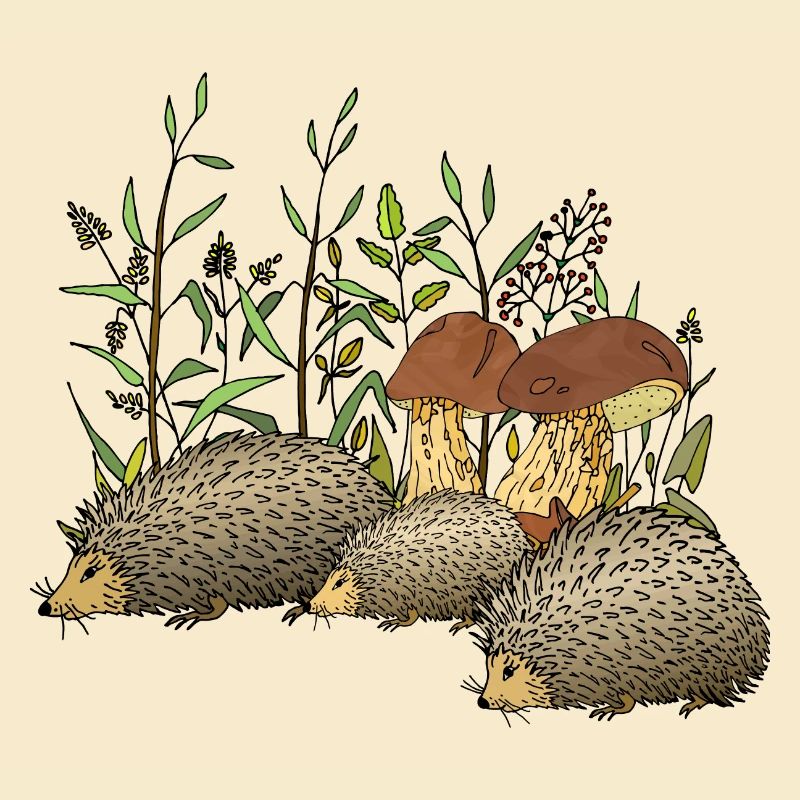 Igel