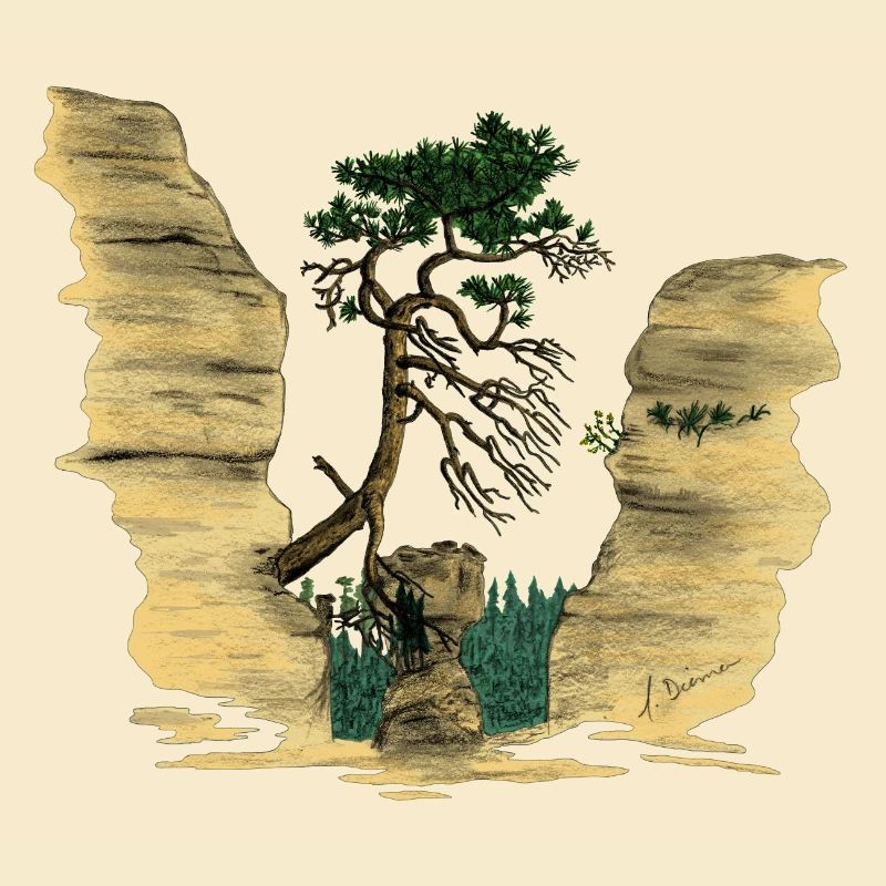 Montagnes de grès de l’Elbe