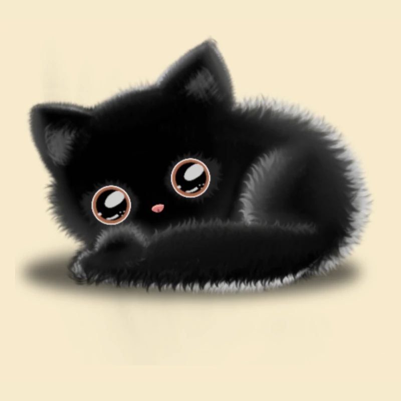 Schwarze Katze 🐈‍⬛
