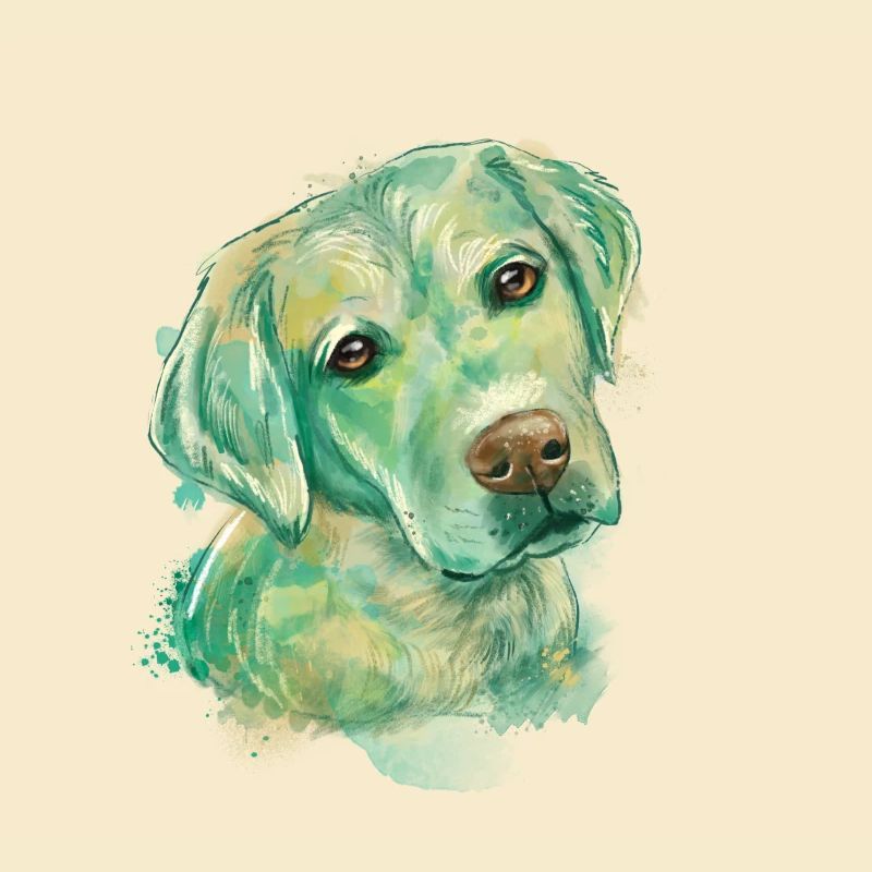 labrador