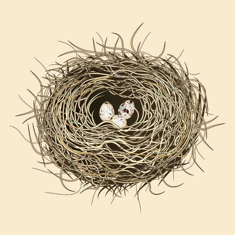 Bird's Nest or Easter Basket with Three Bird Eggs