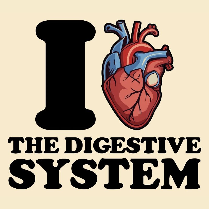 J’adore le système digestif
