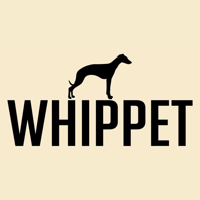 WHIPPET Races de chiens Chiens Lévriers Wilsigns