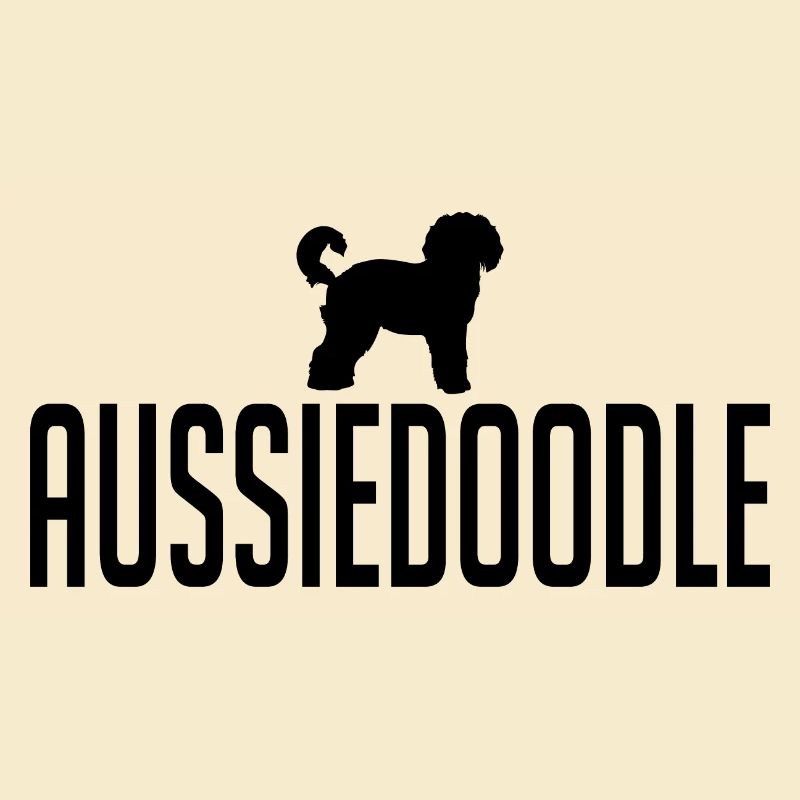 Aussiedoodle Hunderasse Hunde Wilsigns