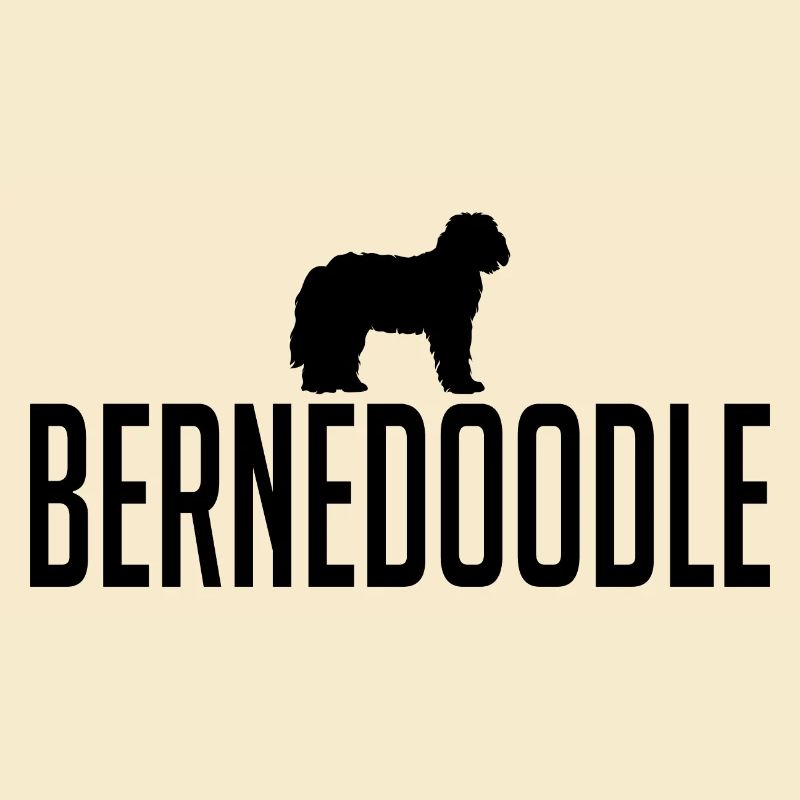 Bernedoodle Hunderasse Hunde Wilsigns
