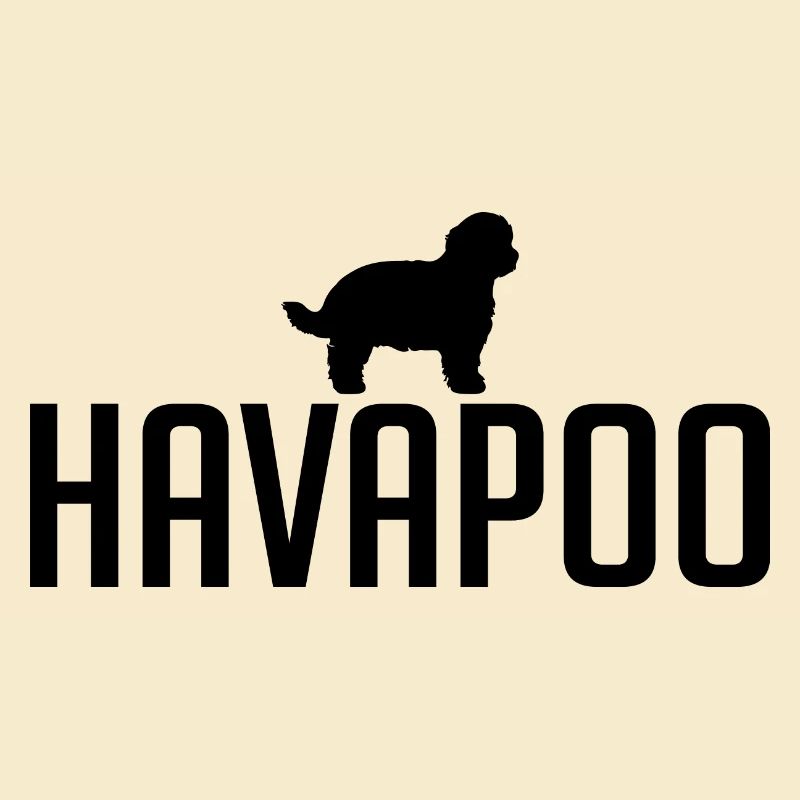 Havapoo Hunderasse Hunde Hund Wilsigns