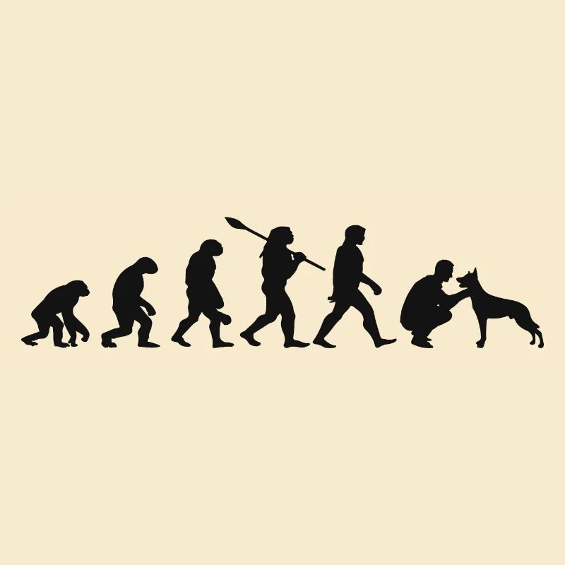 Evolution Funny Belgian Shepherd Dog Malinois