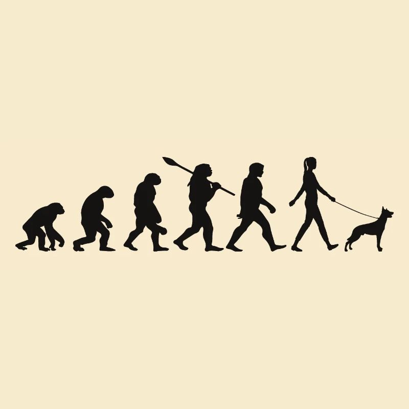 Evolution Funny Belgian Shepherd Dog Malinois