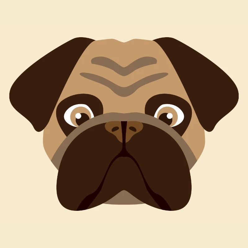 Hund Mops