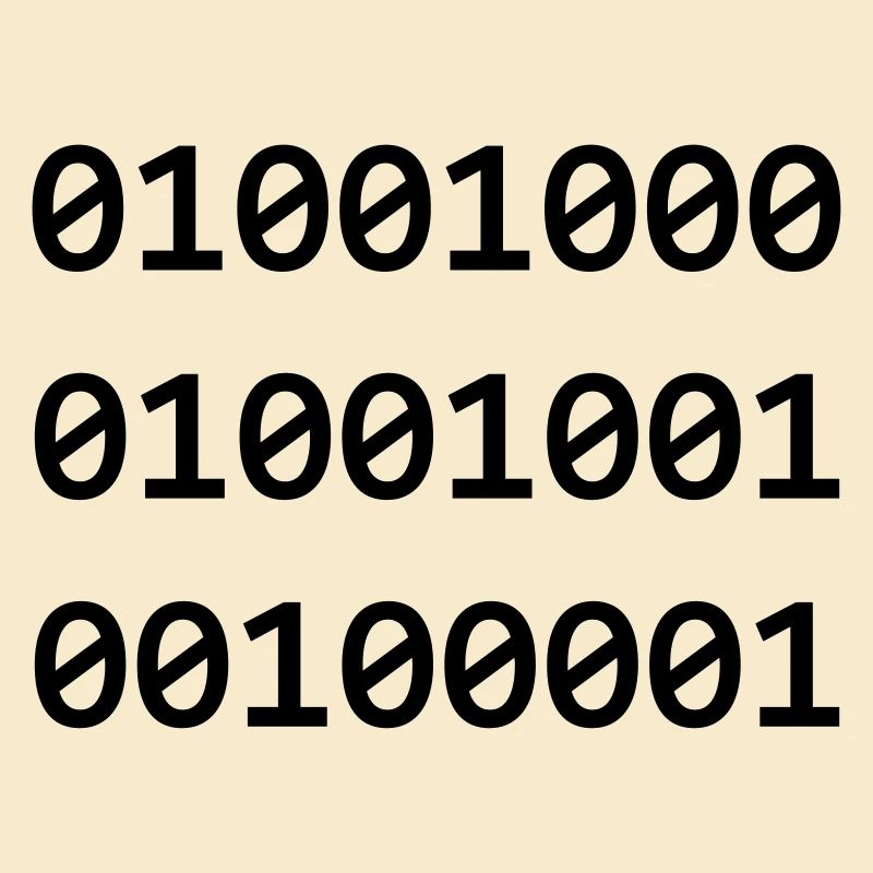 Hi Binary Programmierer grüßen sich so