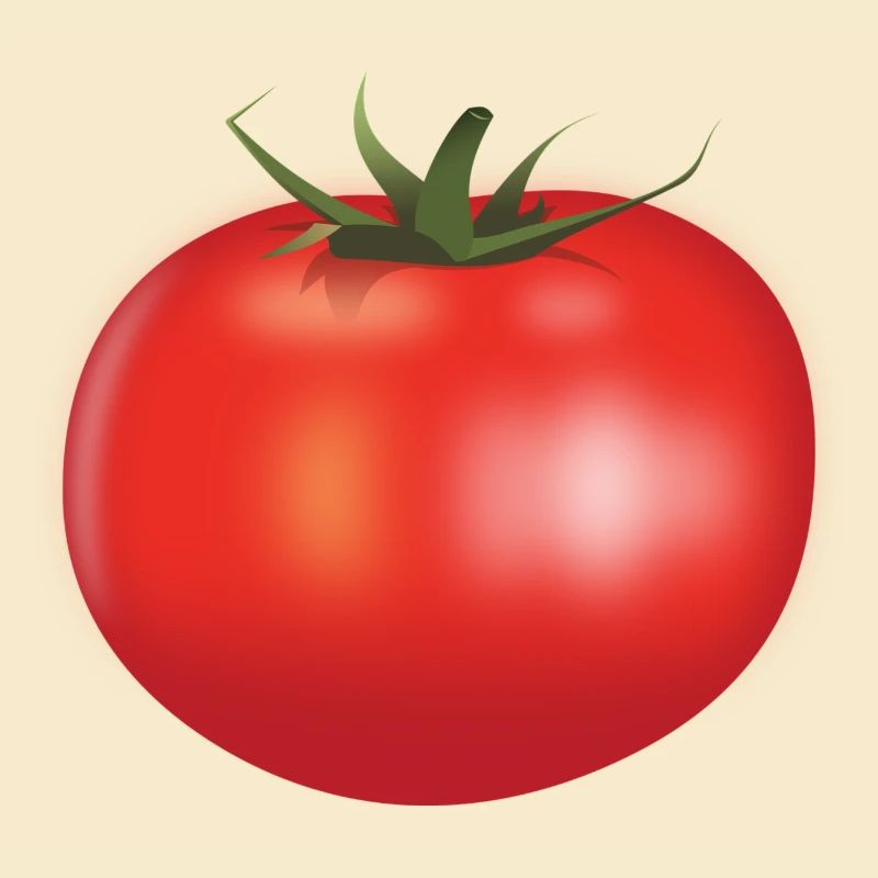 Tomate