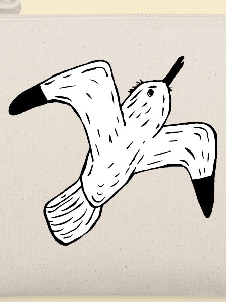 mouette