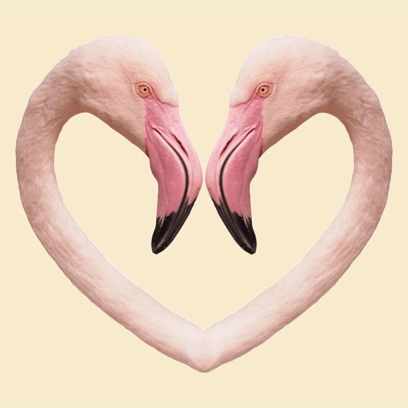 Flamingo-Herz