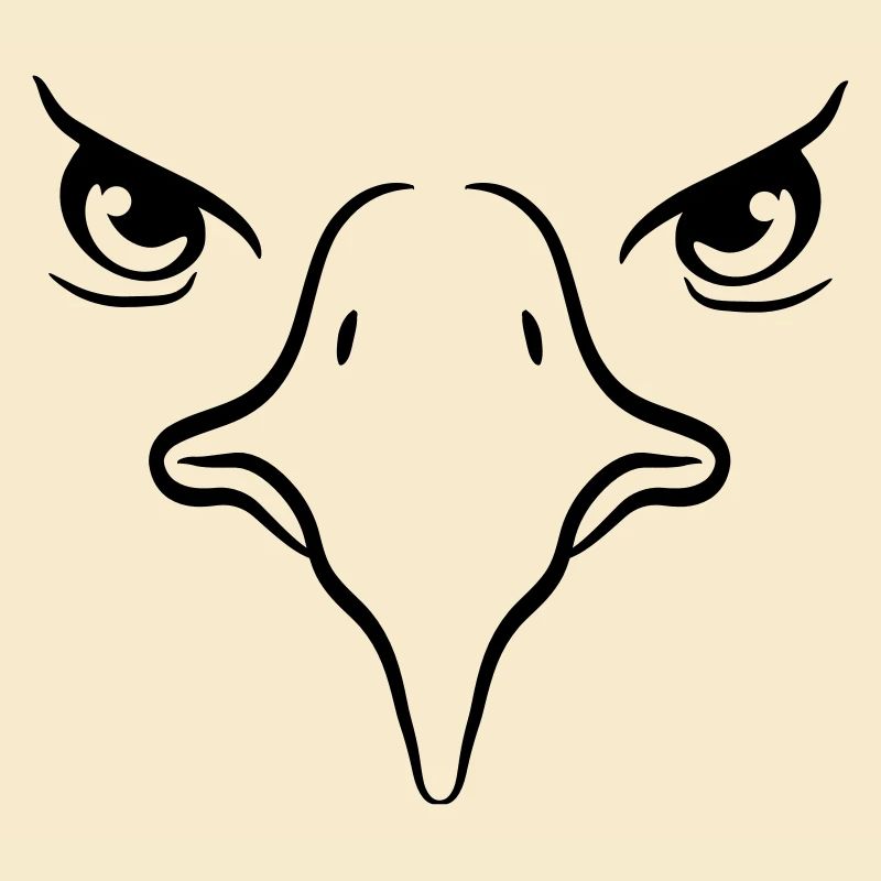 Eagle Beak bird Eagle eyes