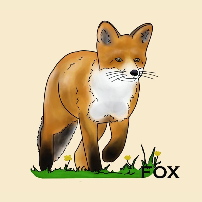 Fox
