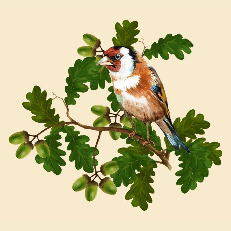 Vogel