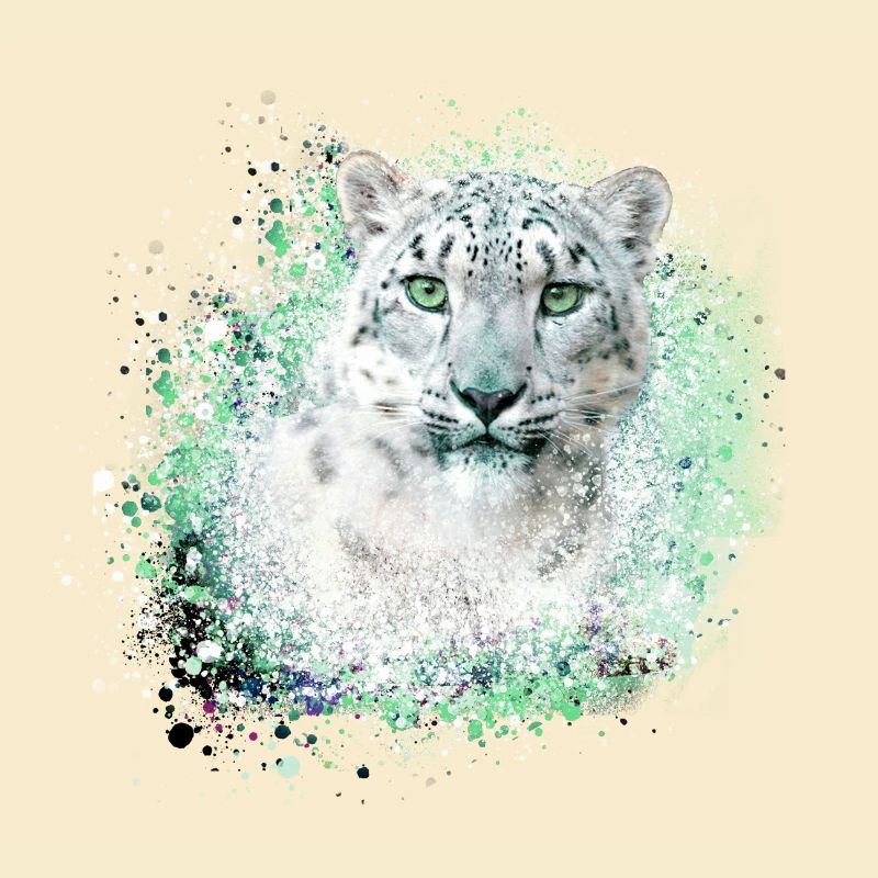 schneeleopard,katze,leopard,graffiti,wildkatze