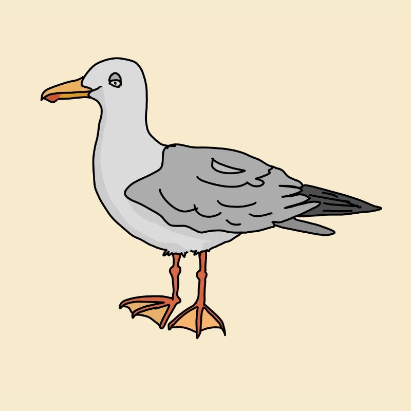 Möwe
