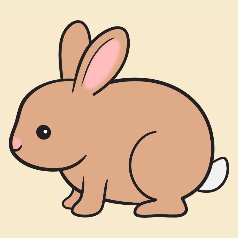 Rabbit Rabbit