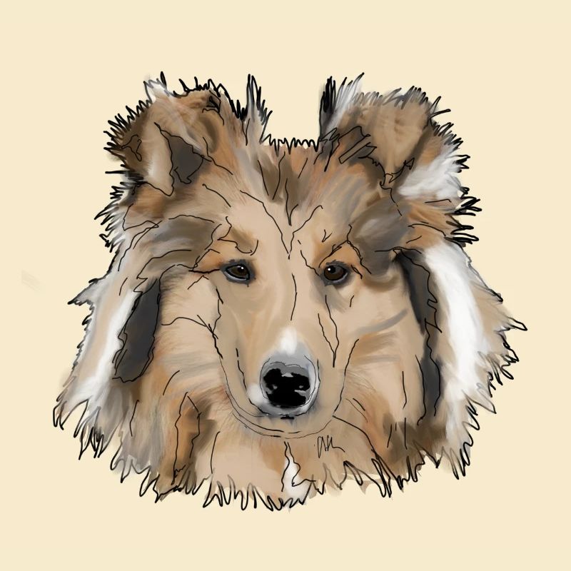 Collie