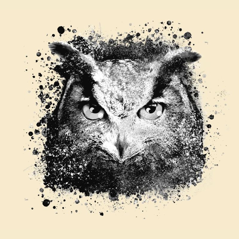 eule,graffiti,malerei,schwarz,grau