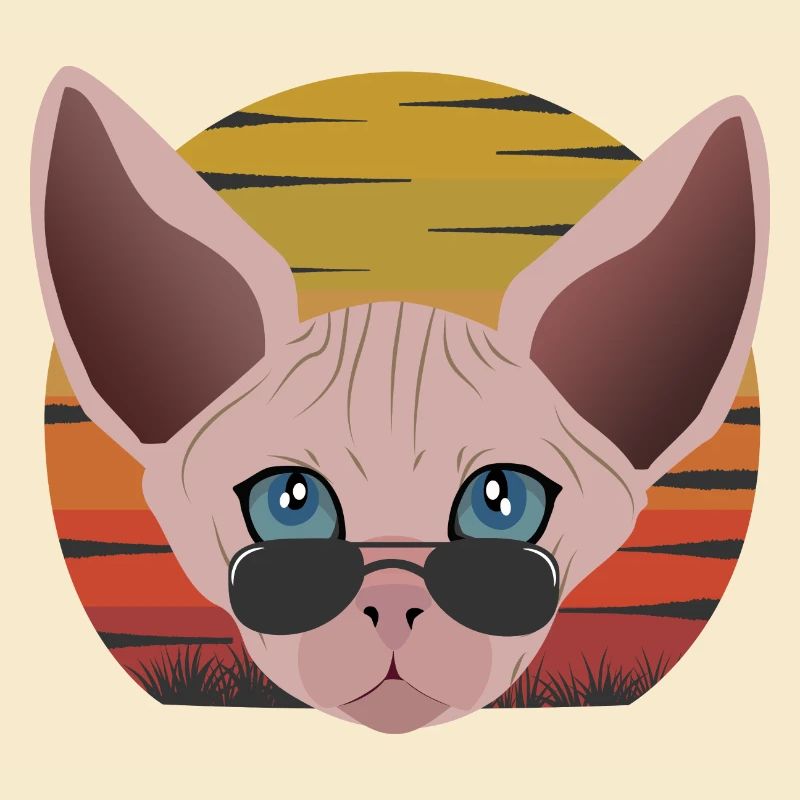 sphinx cat sunset