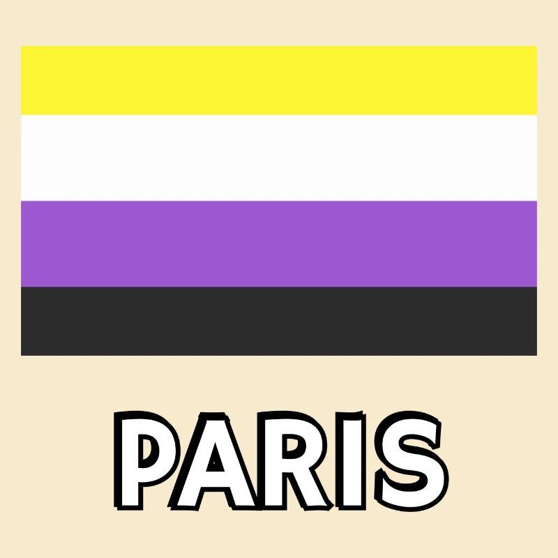 Non binary Pride Flag Paris