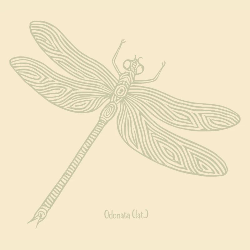 Libellule Odonate