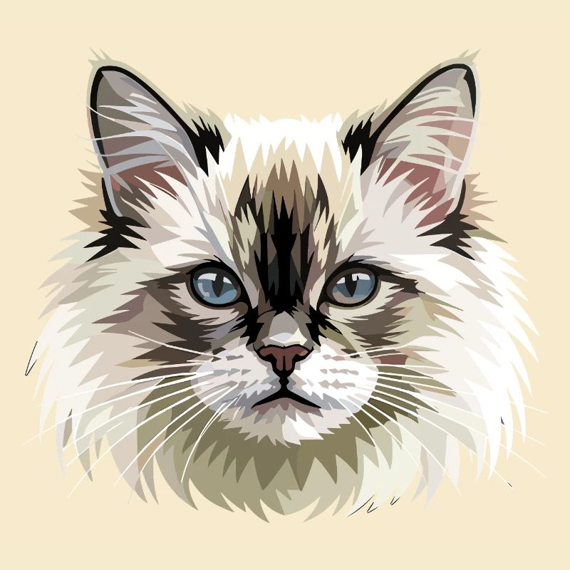 Chat Birman Chat Birman Sacré Chat Birman Mignons Chats Birman
